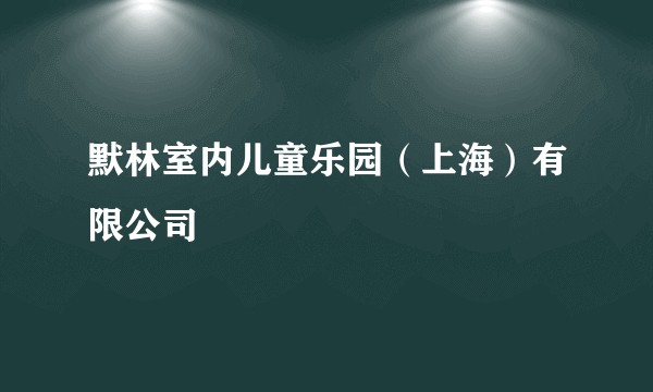 默林室内儿童乐园（上海）有限公司