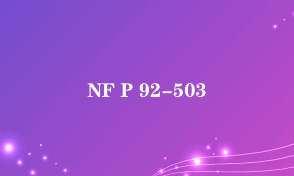 NF P 92-503