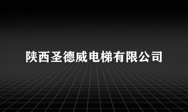 陕西圣德威电梯有限公司