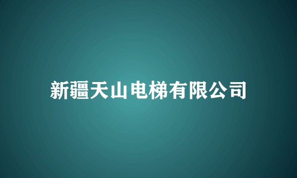新疆天山电梯有限公司