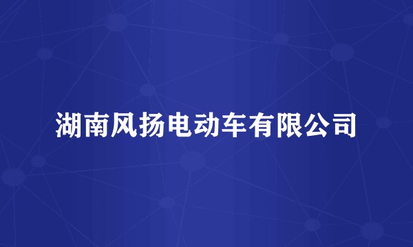 湖南风扬电动车有限公司