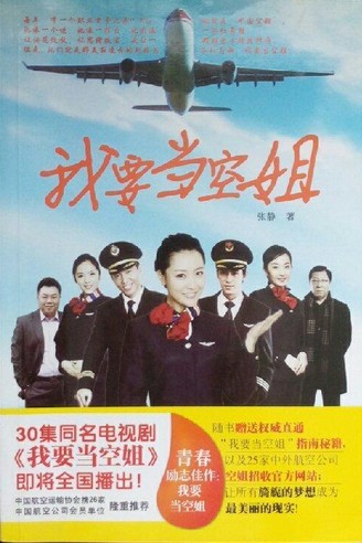 我要当空姐（2012年中国民航出版社出版的图书）