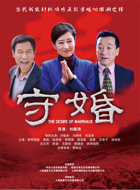 守婚（2014年刘佩琦执导电视剧）