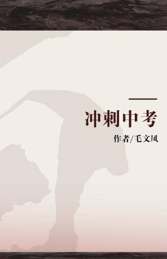 冲刺中考