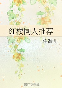 红楼同人推荐