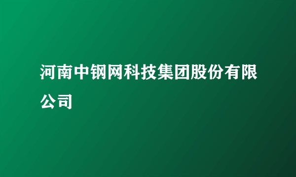 河南中钢网科技集团股份有限公司
