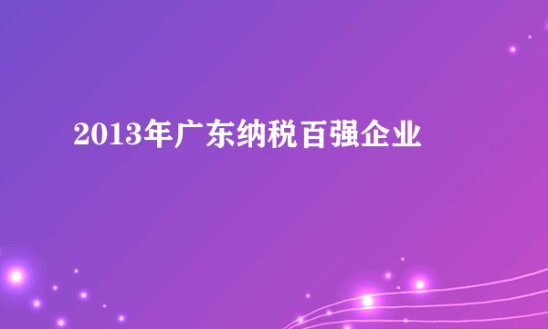 2013年广东纳税百强企业