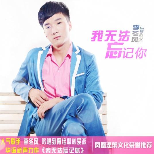 我无法忘记你（李冬风演唱歌曲）
