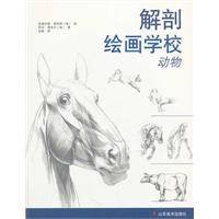 解剖绘画学校：动物