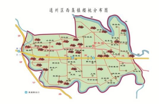 西集大樱桃