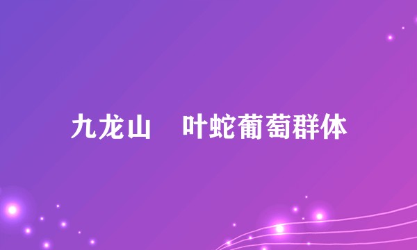 九龙山葎叶蛇葡萄群体