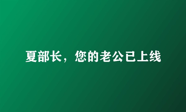 夏部长，您的老公已上线