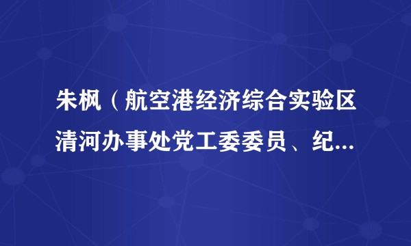 朱枫（航空港经济综合实验区清河办事处党工委委员、纪工委书记）