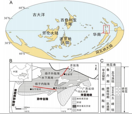 大陆地台区