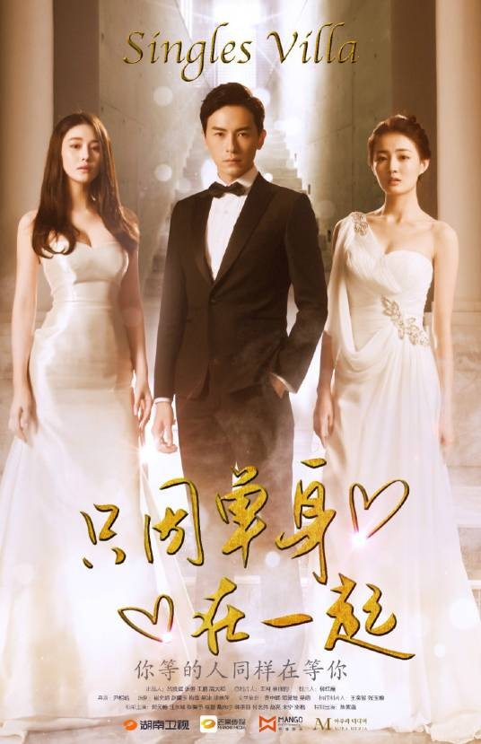 只因单身在一起（2014年郑元畅主演电视剧）