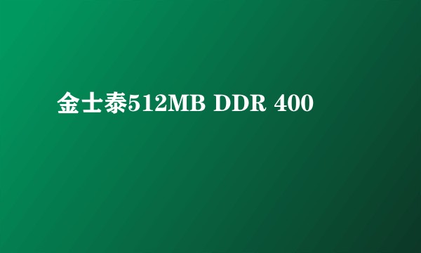 金士泰512MB DDR 400