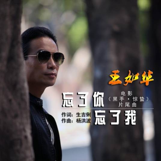 忘了你忘了我（王如华歌曲）
