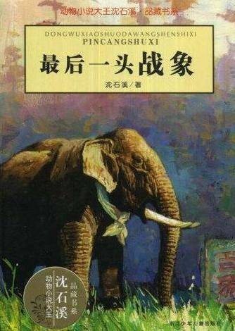 最后一头战象（2008年浙江少年儿童出版社出版的图书）