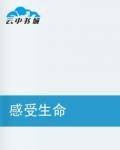 感受生命（小说）
