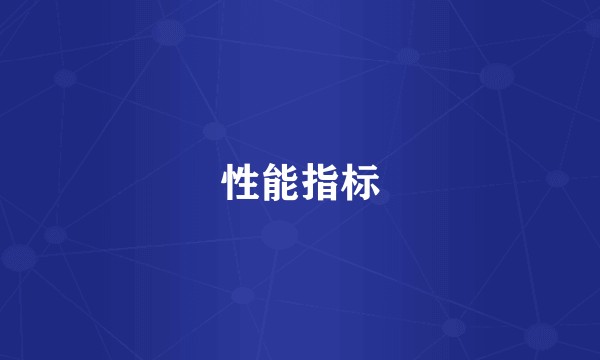 性能指标