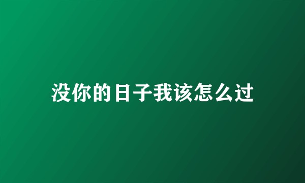没你的日子我该怎么过