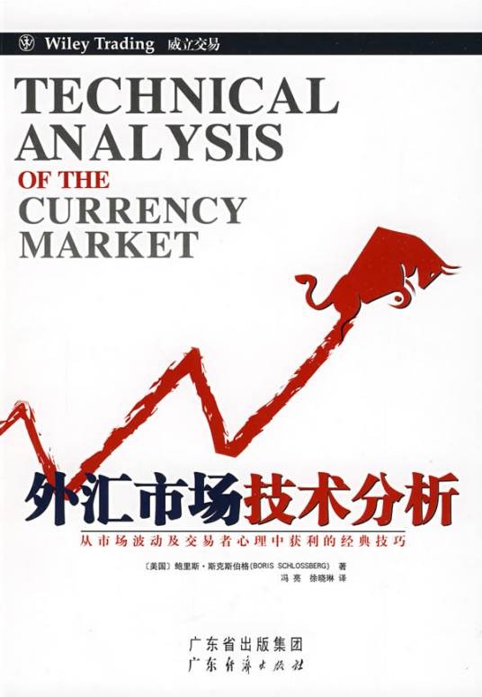 外汇市场技术分析（2009年广东经济出版社出版的图书）