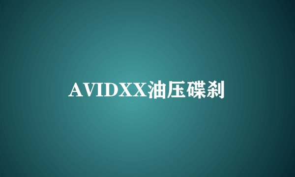 AVIDXX油压碟刹