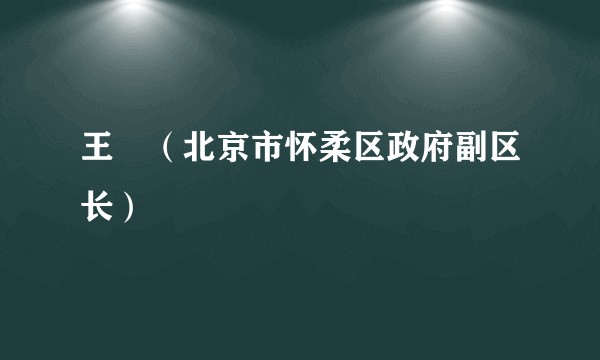 王弢（北京市怀柔区政府副区长）