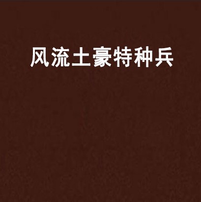 风流土豪特种兵