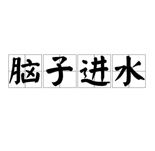 脑子进水