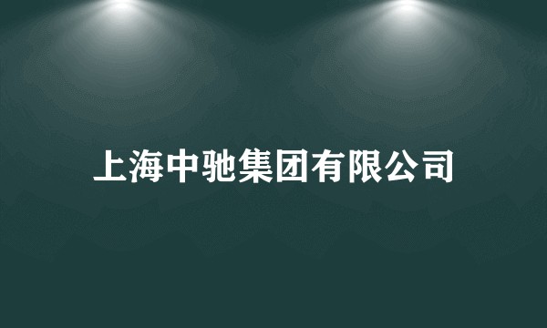 上海中驰集团有限公司