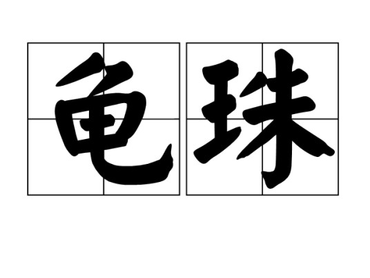 龟珠