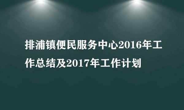 排浦镇便民服务中心2016年工作总结及2017年工作计划