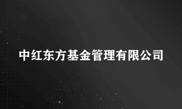 中红东方基金管理有限公司