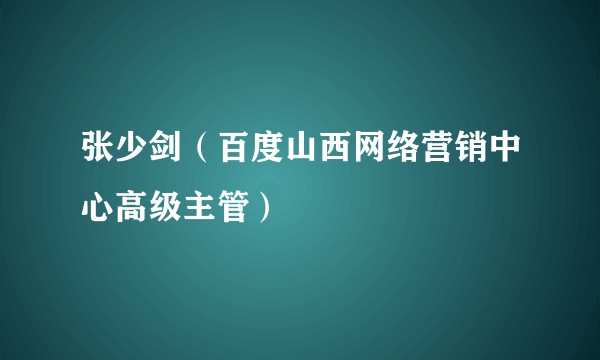 张少剑（百度山西网络营销中心高级主管）