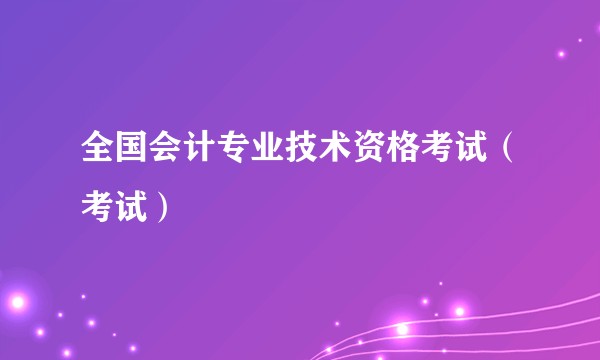 全国会计专业技术资格考试(考试)