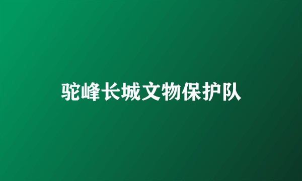 驼峰长城文物保护队