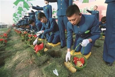 全免费葬生态环保葬