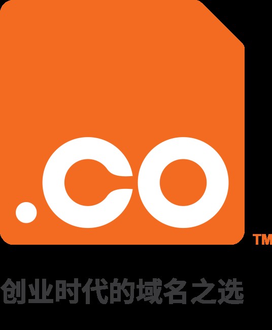 .co域名