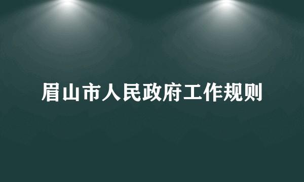 眉山市人民政府工作规则