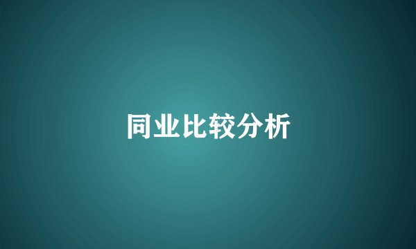 同业比较分析