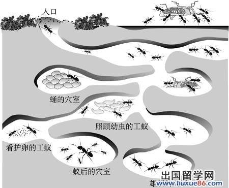 生物行为学