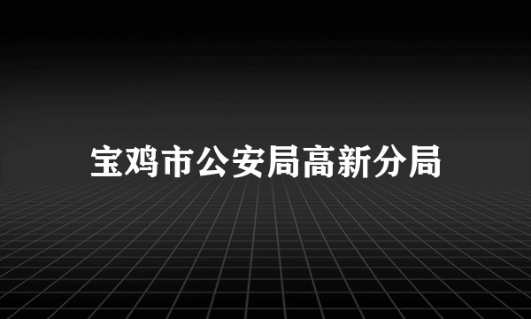宝鸡市公安局高新分局