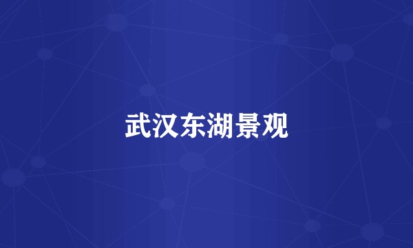 武汉东湖景观