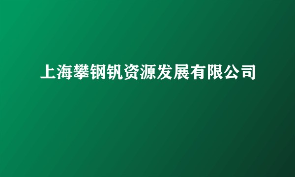 上海攀钢钒资源发展有限公司