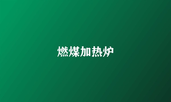 燃煤加热炉