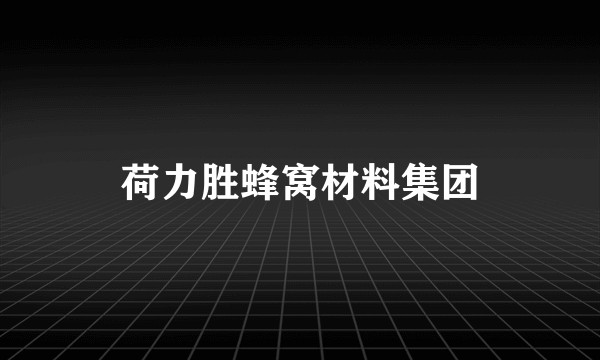 荷力胜蜂窝材料集团