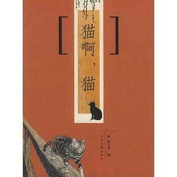 猫啊，猫
