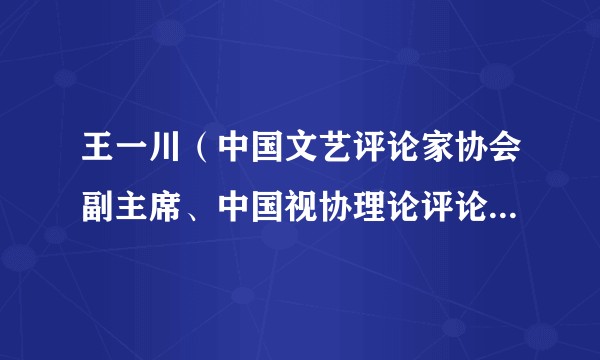 王一川（中国文艺评论家协会副主席、中国视协理论评论专业委员会会长）