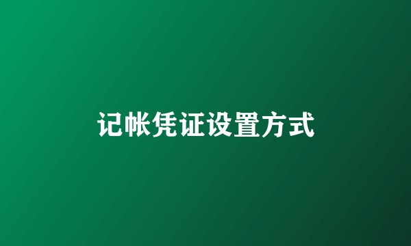 记帐凭证设置方式